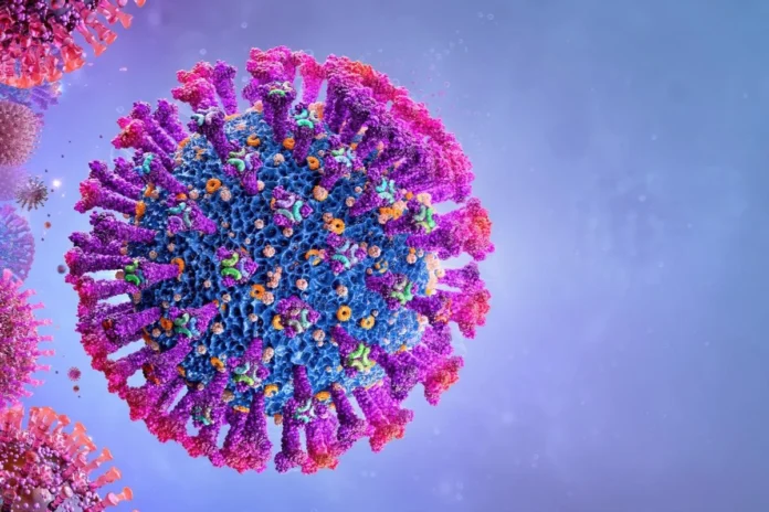 rhinovirus
